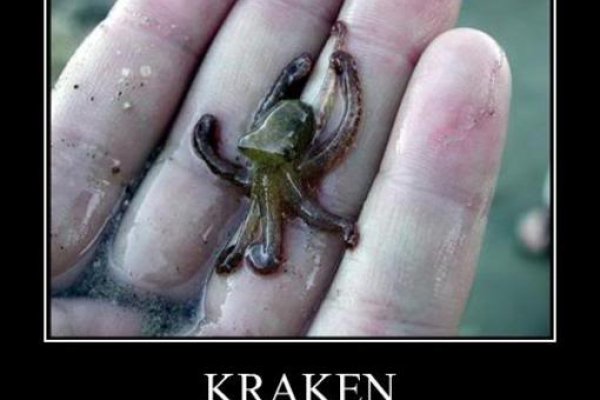 Ссылка на кракен onion kraken dark link