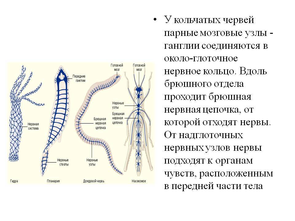 Сайт кракен 24