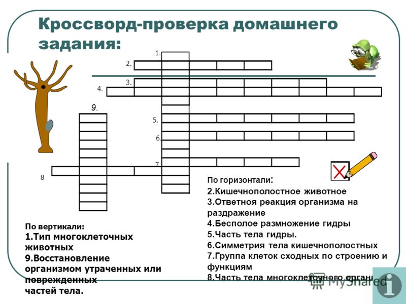 Зайти на кракен